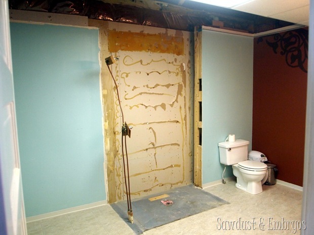 Removed the shower! {Sawdust and Embryos}