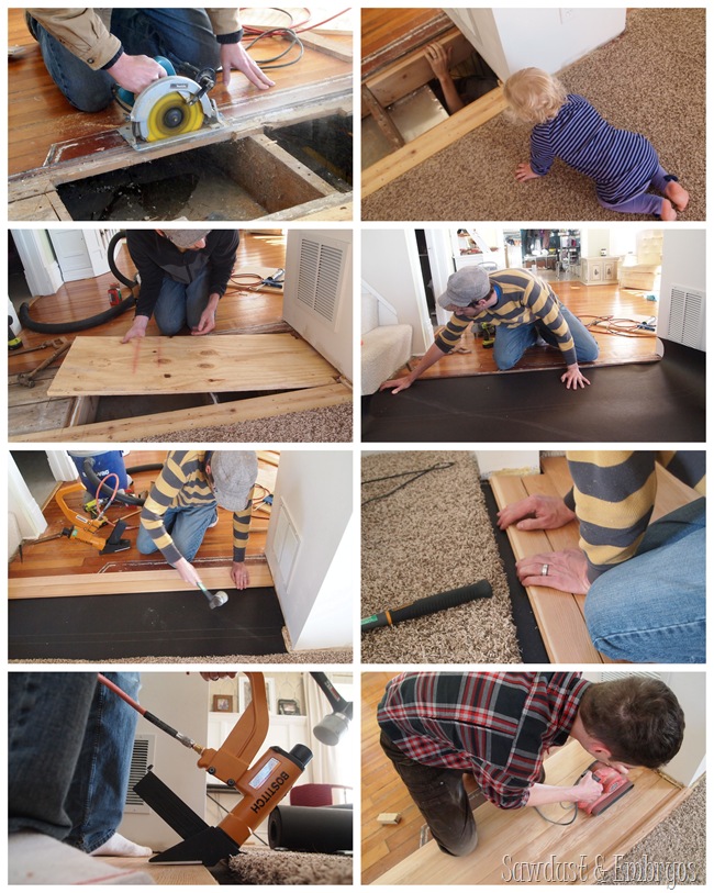 Replacing floorboards {Sawdust and Embryos}