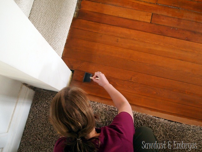 Sealing the hardwood floor patch {Sawdust and Embryos}