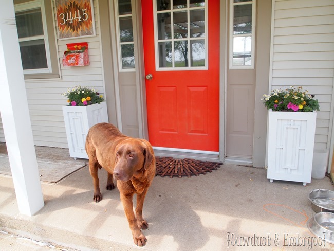 It's the little things that make your porch bright and welcoming! {Sawdust & Embryos}