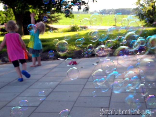 Bubble Machine {Sawdust and Embryos}