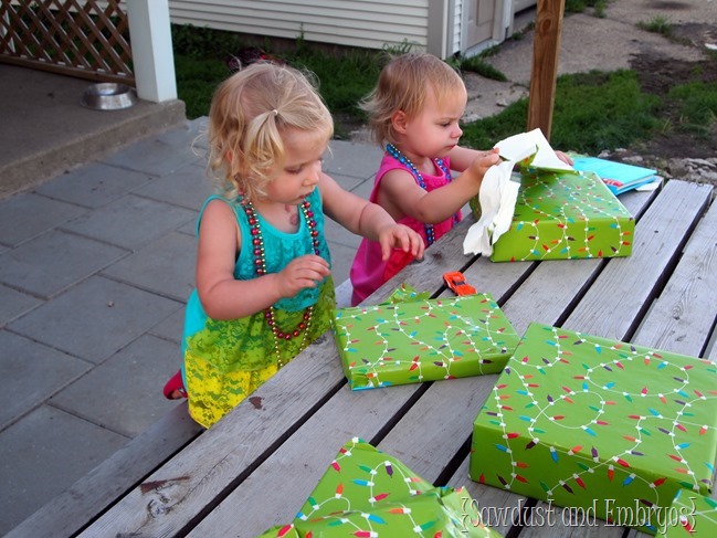 Paisley and Adelyn's Birthday {Sawdust and Embryos}