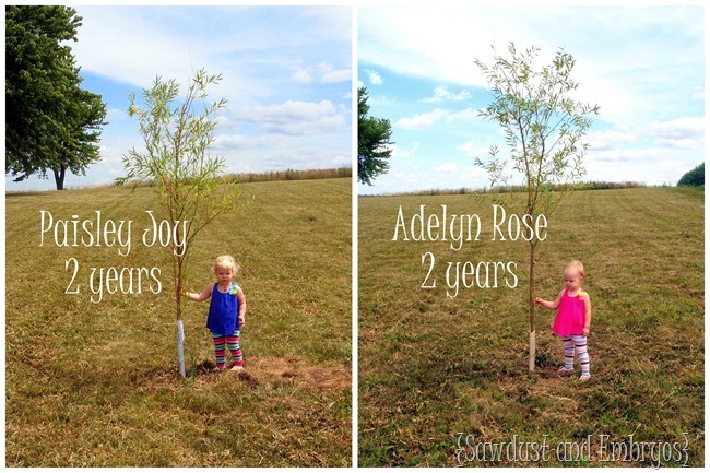 Plant a tree the year your baby is born, and then take a picture of them with it every year on their birthday! {Sawdust and Embryos}