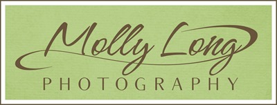 Molly Long Photography