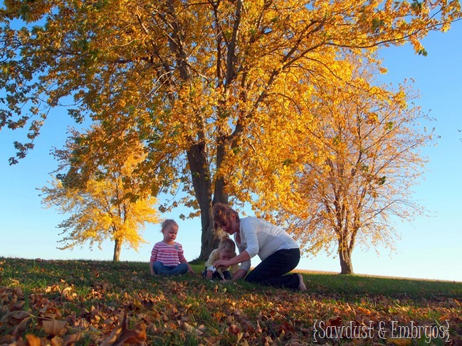 Gender Reveal {Sawdust and Embryos}