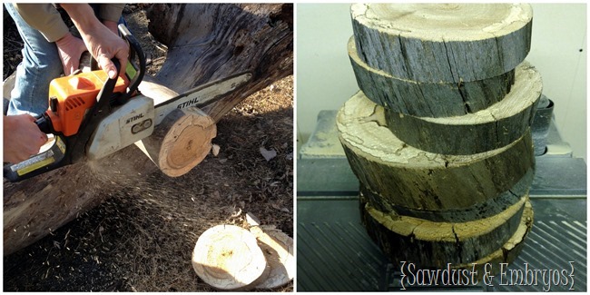 Cut a log into discs to make a wood-slice lamp! {Sawdust and Embryos}