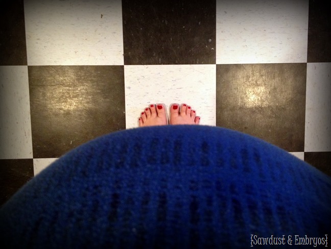 38 weeks {Sawdust and Embryos}