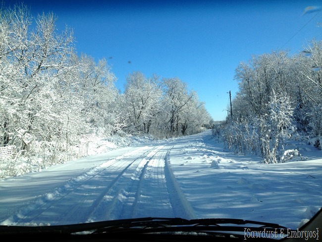 Winter Wonderland {Sawdust and Embryos}