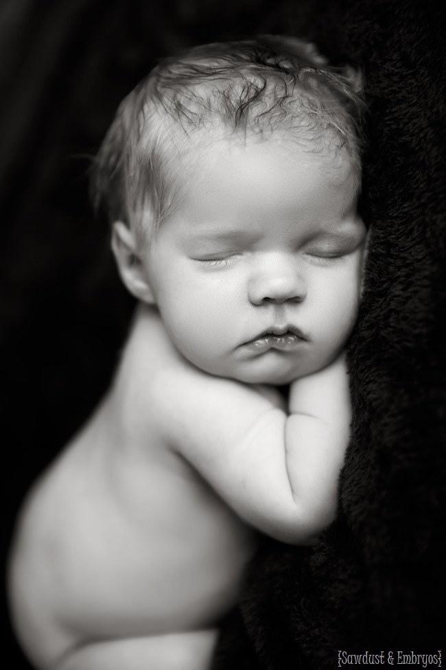 Newborn pics by Molly Long Photography