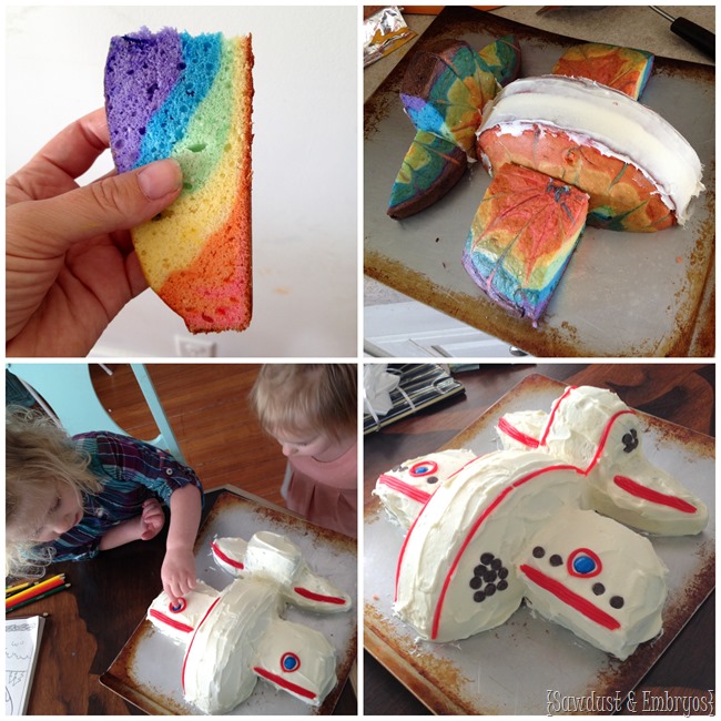 Simple Airplane-shaped Cake {Sawdust and Embryos}