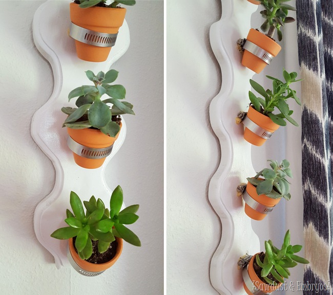 DIY Vertical Succulent Planter... so simple! {Sawdust and Embryos}