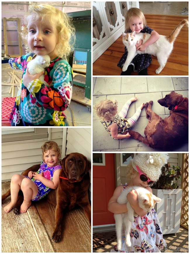 So cute when kids LOVE animals! {Sawdust and Embryos}